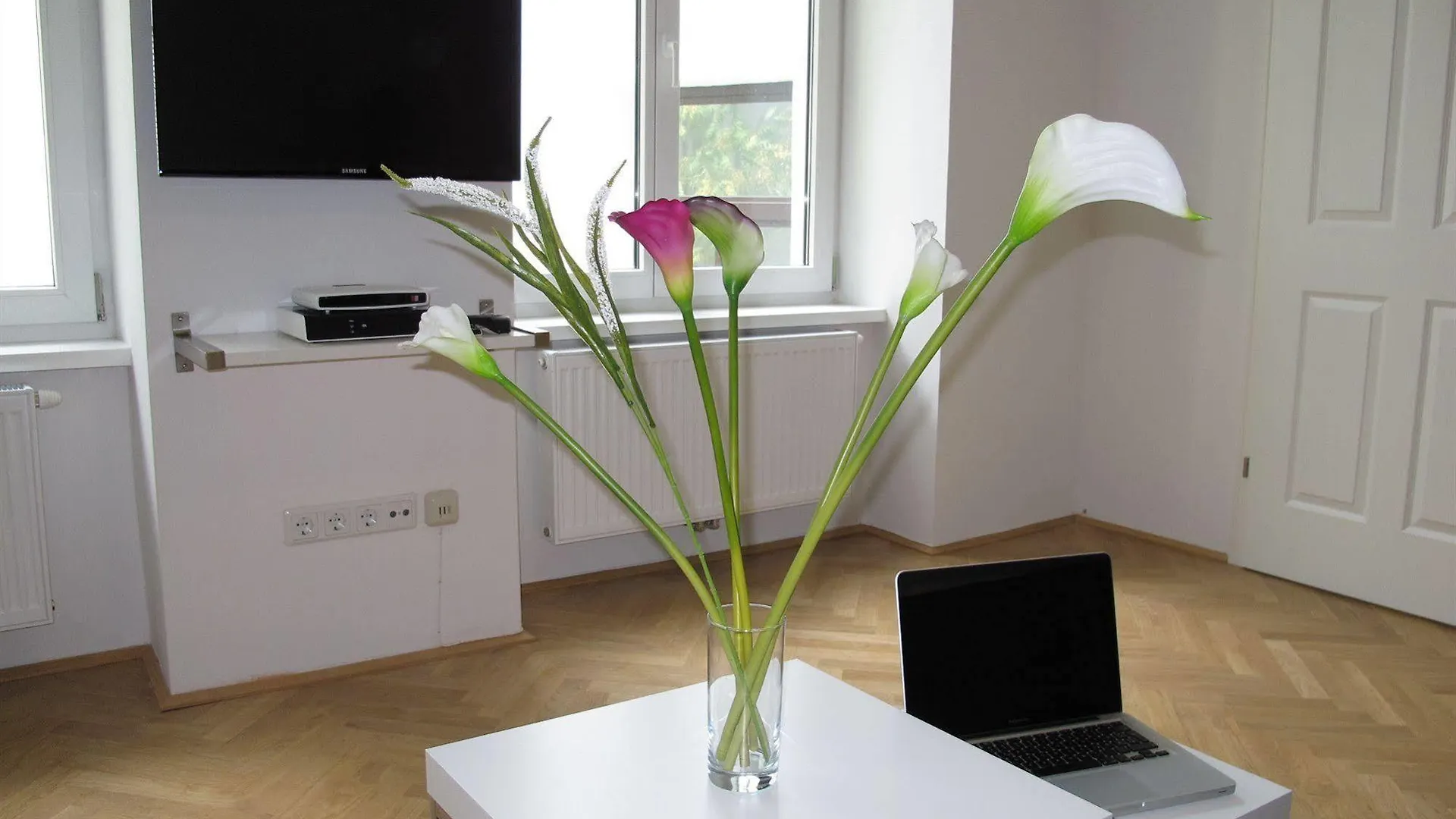 Central Vienna-Living Appartement Vienne