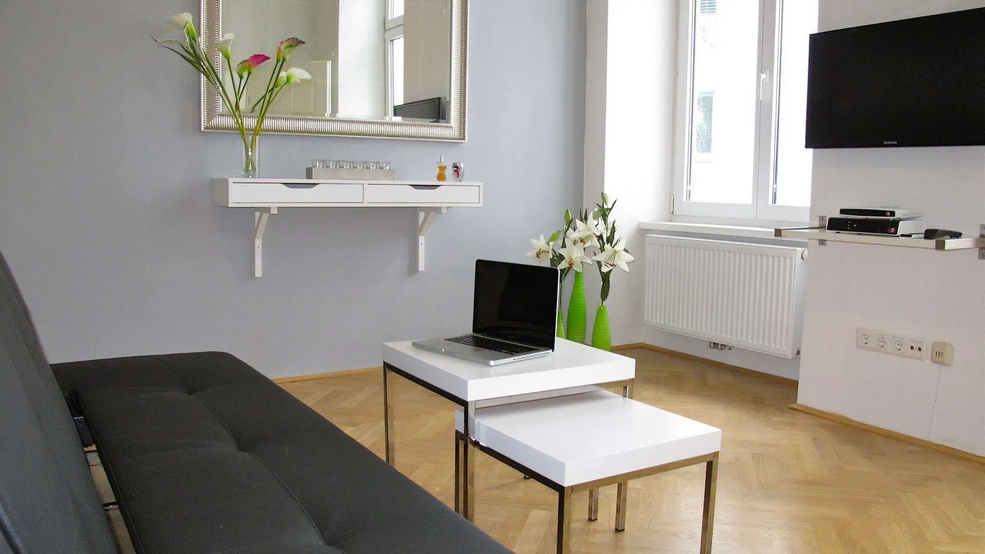 Central Vienna-Living